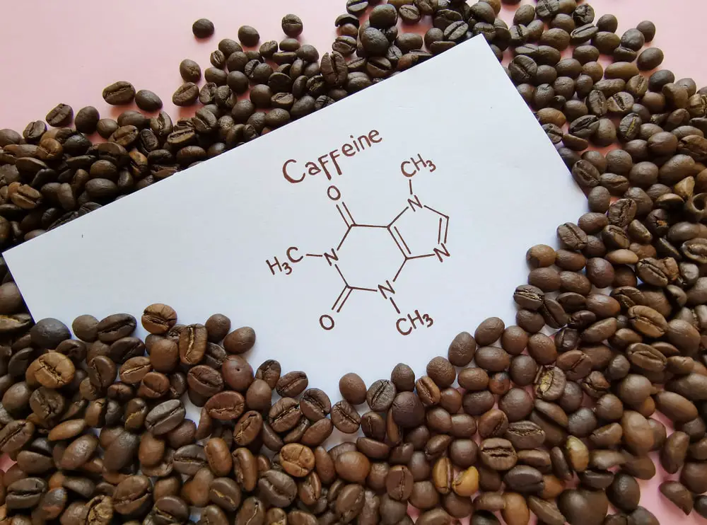 is-caffeine-a-solute-or-solvent
