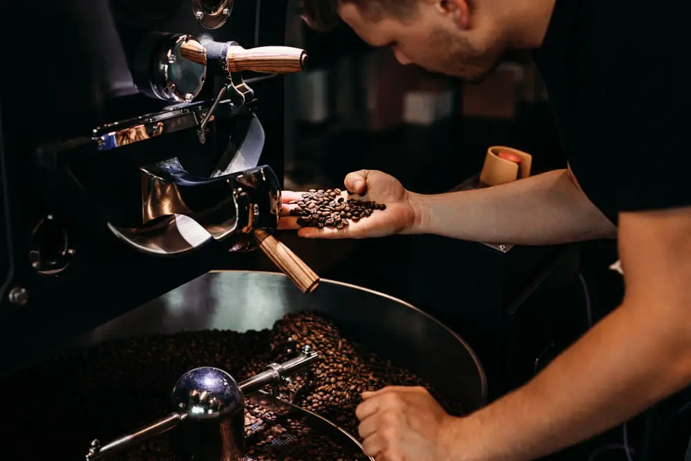 man-working-coffee-production-barista-controling